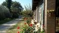Toscana Immobiliare - Azienda agricola con agriturismo, 80 ettari di terreno con lago in vendita a Rapolano Terme, Siena
