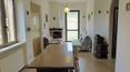 Toscana Immobiliare - Farm with farmhouse, 80 hectares of land with lake for sale in Rapolano Terme, Siena