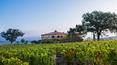 Toscana Immobiliare -