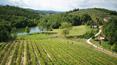 Toscana Immobiliare - Ferme avec ferme à vendre Rapolano Terme, Sienne