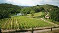 Toscana Immobiliare - Tuscan estate for sale in Rapolano Terme, Siena