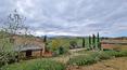 Toscana Immobiliare - Tuscan farmhouse for sale in Chianciano Terme, Siena