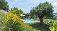 Toscana Immobiliare - Montepulciano, Siena farmhouse with swimming pool for sale