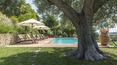 Toscana Immobiliare - Montepulciano, ferme de Sienne avec piscine à vendre