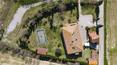 Toscana Immobiliare - Farm holidays for sale in Lucignano, Arezzo, Tuscany