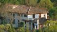 Toscana Immobiliare -