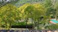 Toscana Immobiliare -