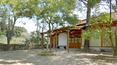 Toscana Immobiliare -