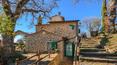 Toscana Immobiliare - Farm with farmhouse for sale in Umbria, Città della Pieve, Perugia