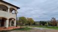 Toscana Immobiliare - Property with land, farmhouse and shed for sale in Lucignano, Arezzo