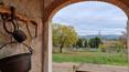 Toscana Immobiliare - Casale con 12 ha di terreno e capannone in vendita in provincia di Arezzo, Toscana