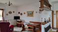 Toscana Immobiliare - Proprietà con terreno, casale e capannone in vendita a Lucignano, Arezzo