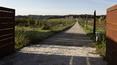 Toscana Immobiliare - Renovated hamlet with swimming pool, various flats and 26 rooms for sale in the province of Siena