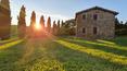Toscana Immobiliare - Wine estate for sale in Montalcino, Tuscany, Italy