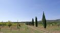 Toscana Immobiliare - Typical Tuscan hamlet for sale in Rapolano Terme, Tuscany