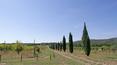 Toscana Immobiliare - 