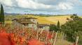 Toscana Immobiliare - Farm holidays for sale in Tuscany, Siena, Castelnuovo Berardenga