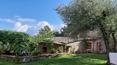 Toscana Immobiliare -