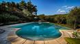 Toscana Immobiliare -