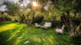 Toscana Immobiliare -