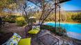 Toscana Immobiliare -