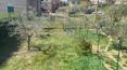 Toscana Immobiliare - Appartamento con giardino e garage in vendita a Lucignano