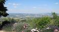 Toscana Immobiliare - Umbria vicino Todi in vendita splendida proprietà ristrutturata con dèpendance, piscina, giardino con vista stupenda sulla campagna Umbra