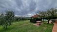 Toscana Immobiliare - Toskanisches Bauernhaus mit Swimmingpool in Valdichiana zu verkaufen