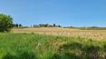 Toscana Immobiliare - Farm, farmhouses with land for sale in Buonconvento, Siena, Tuscany