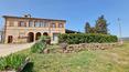 Toscana Immobiliare - Farm, farmhouses with land for sale in Buonconvento, Siena, Tuscany