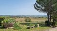 Toscana Immobiliare - Renovated Tuscan farmhouse with land for sale in Buonconvento, Siena