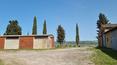 Toscana Immobiliare - Ferme, fermes avec terrain à vendre à Buonconvento, Sienne, Toscane