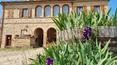 Toscana Immobiliare - Bauernhäuser mit Grundstück zum Verkauf in Buonconvento, Toskana