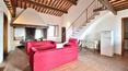 Toscana Immobiliare - Renovated Tuscan farmhouse with land for sale in Buonconvento, Siena