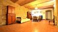 Toscana Immobiliare - Renovated Tuscan farmhouse with farmhouses and land for sale in Buonconvento, Siena