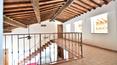 Toscana Immobiliare - Renovated Tuscan farmhouse with farmhouses and land for sale in Buonconvento, Siena
