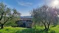 Toscana Immobiliare - Proprietà immobiliare in vendita con casa di campagna abitabile, casale, terreno