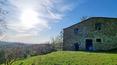 Toscana Immobiliare - Casali con terreno in posizione panoramica vendita Monte San Savino