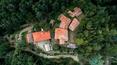 Toscana Immobiliare - Hamlet for sale in Tuscany, province of Arezzo