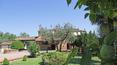 Toscana Immobiliare - Lucignano vendesi antico casale in pietra con dependance e piscina. Vista panoramica sulla Valdichiana, 7 ha di terreno
