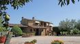 Toscana Immobiliare - Country house with swimming pool for sale in Lucignano, Arezzo, Tuscany