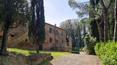 Toscana Immobiliare - Tuscan real estate property for sale Monteroni d'Arbia Siena
