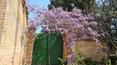 Toscana Immobiliare - Tuscan real estate property for sale Monteroni d'Arbia Siena