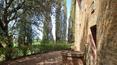 Toscana Immobiliare - Tuscan real estate property for sale Monteroni d'Arbia Siena