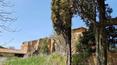 Toscana Immobiliare - Casale, rudere in vendita a Monteroni d'Arbia, Siena