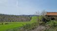 Toscana Immobiliare - Casale, rudere in vendita a Monteroni d'Arbia, Siena