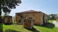 Toscana Immobiliare - Farmhouse, rustic for sale in Monteroni d'Arbia, Siena