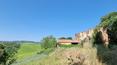 Toscana Immobiliare - Rustic, Farmhouse, property for sale in Monteroni d'Arbia, Siena