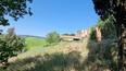 Toscana Immobiliare - Rustic, Farmhouse, property for sale in Monteroni d'Arbia, Siena