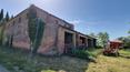 Toscana Immobiliare - Rustic, Farmhouse, property for sale in Monteroni d'Arbia, Siena